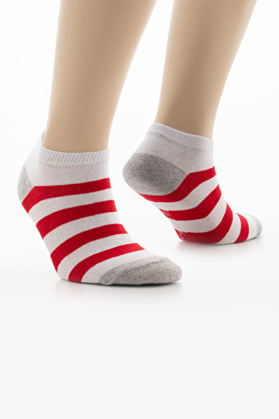 Miorre 2 Pack Cotton Women's Socks