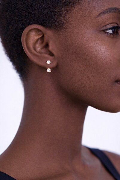 Argentum Concept 925 Ayar Gümüş Rose Çift Taşlı Kombin Küpe - K031401