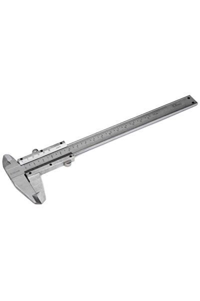 richmann 150 mm Steel Caliper,