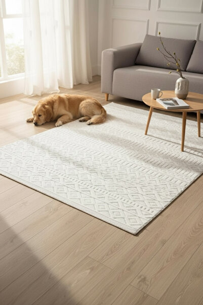 Santiva Home سجادة منسوجة من السيزال الكريمي مع حواف مزخرفة لغرفة المعيشة وال...