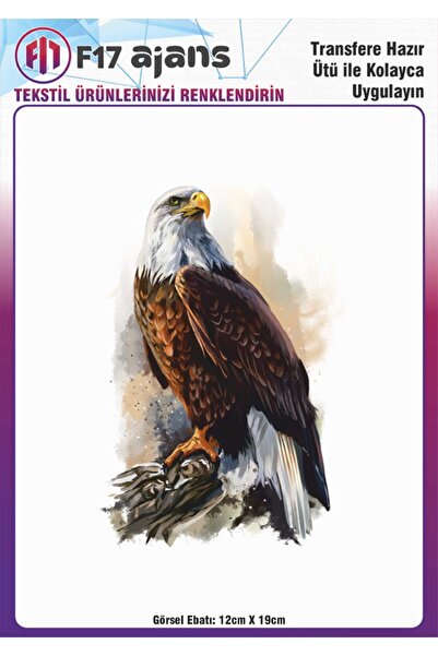 F17 Ajans Ütü ile Yapışan Tekstil DTF Transfer Baskı Kartal