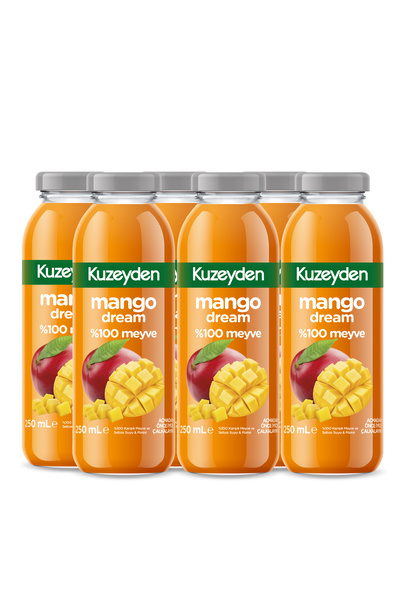 KUZEYDEN %100 Meyve Mango Suyu | 6x250ml | İlave şeker, katkı ve koruyucu mad...