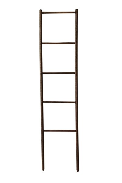 Akat Cosy Saksı Içi Dekoratif Ahşap Bitki Merdiveni (50 Cm)