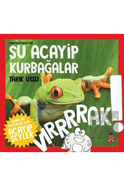 Uğurböceği Yayınları Daha Da Küçükler Için Şu Acayip Kurbağalar