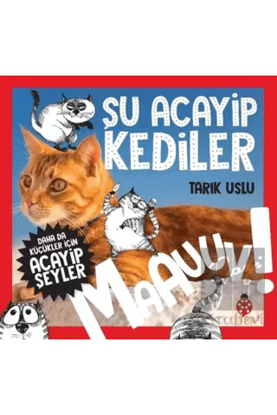 Uğurböceği Yayınları القطط الأكبر من ذلك للأصغر - أشياء أصغر من ذلك 1