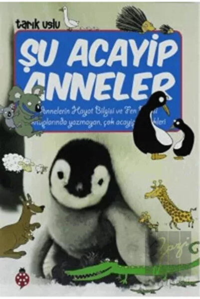 Uğurböceği Yayınları Şu Acayip Anneler