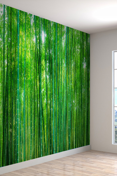 dreamwall Bambu Ormanı Desenli Silinebilir Sağlıklı Tekstil Duvar Kağıdı
