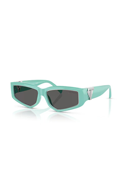 Tiffany &Co. Tf 4234U 8388S4 55 Unisex Sunglasses