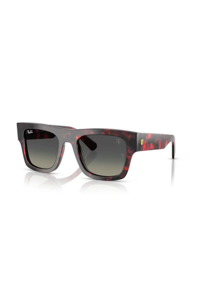 Ray-Ban Rb 2217m F70511 53 Unisex Sunglasses