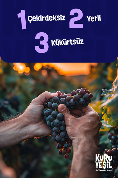 Kuru Yeşil Siyah Kuru Üzüm – 500 Gr – Çekirdeksiz – Doğal Kurutulmuş Meyve – 2x250 Gr