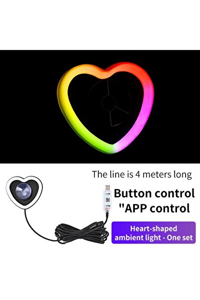 OEM Decorative Heart LED Lamp Set for car/home window, app control, 256 color...