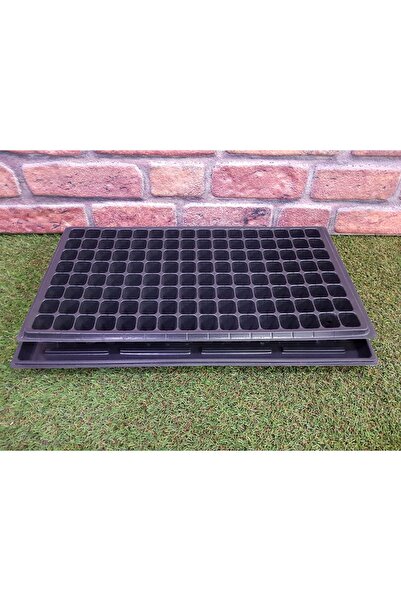 Asenya 1 Adet 128 Göz Fide Viyolü