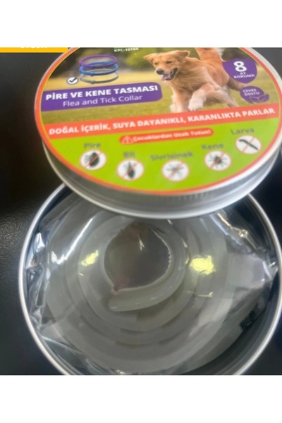 Coffee Köpek bit ve pire boyun tasması