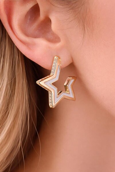 Stilbenim Steel Earrings