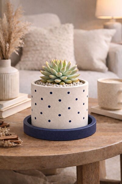 OrganicArtShop Organicart Puantiyeli Sukulent Saksı Lacivert (Bitkisiz)