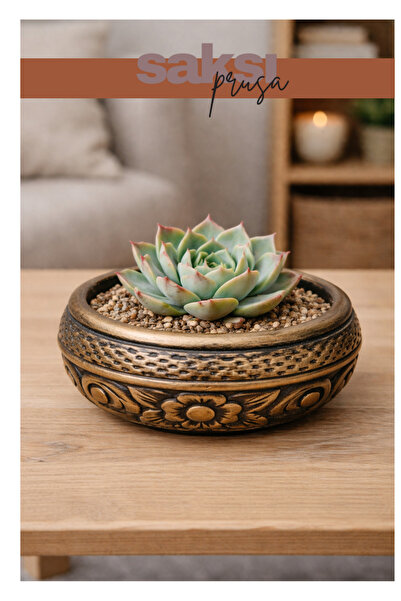 Store 16x16 Beton Skulent Saksısı – El Yapımı Eskitme