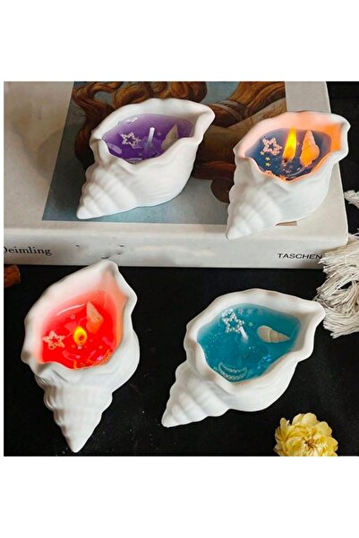 Dekor 4 lü deniz kabuğu seti