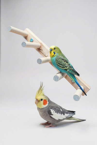 Alyones Doğal Ahşap Kuş Merdiveni | Kafes Aktivite ve Tırmanma Oyuncağı