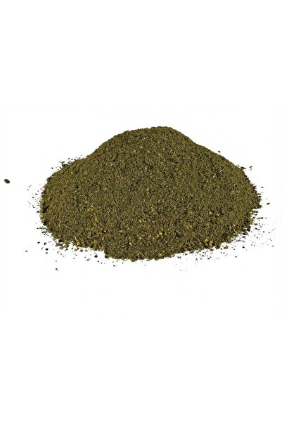 FLN GroundBait Special Green (Nada Feeder)