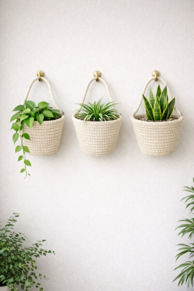 ÖRGÜM Basket 3-Piece Mini Decorative Cobalt Organizer 12X10 cm (Plants and Ha...