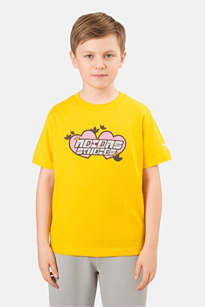 adidas Kids Boy Sportswear Fit Graphic Pint T-Shirt, Gold