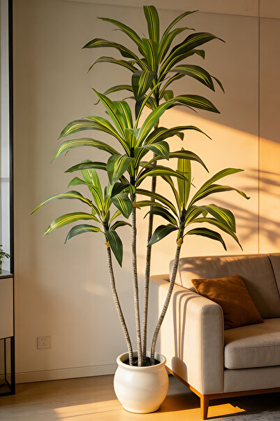 dida-cosmos شجرة دم التنين الاصطناعية بطول 160 سم، مناسبة لغرفة المعيشة والشر...