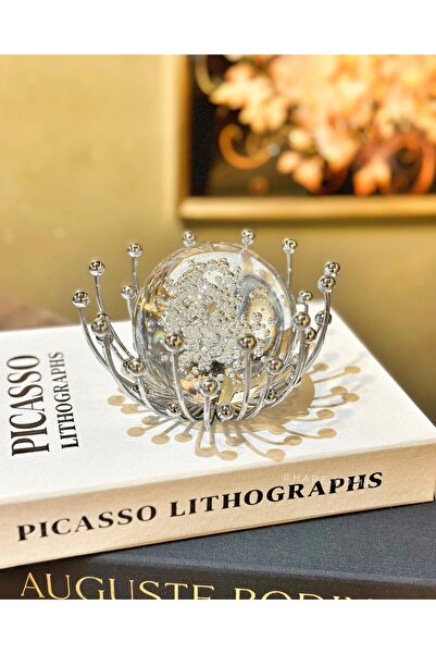 HaRe Home Ahtapot Cam Küre