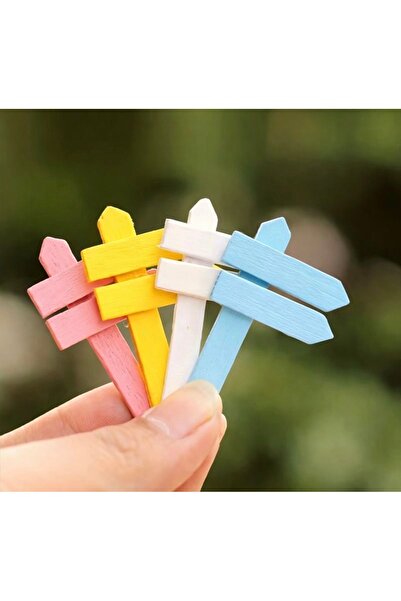 Yerli Teraryum Mini Tabela – Renkli Ahşap Yön Levhası