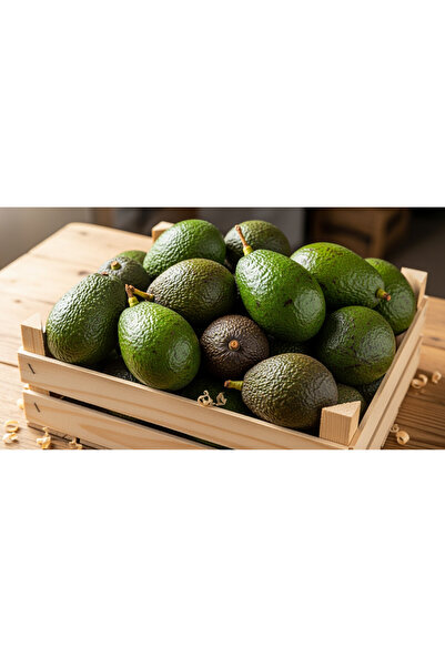 ulu Alanya Avakado 1 kg