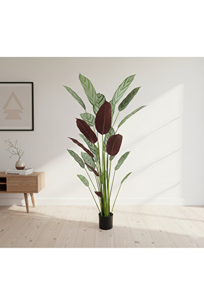 sharpdo Artificial Green Plant Feather Calathea, With Black Flower Pot, Suita...