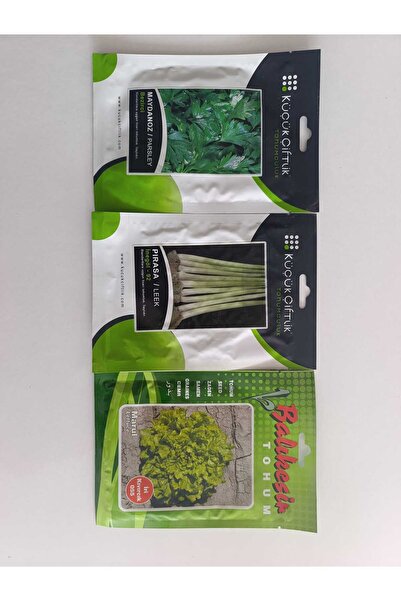 SEBZE TOHUMLARI SET