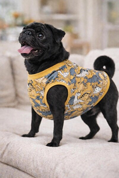 MİNİŞ PET BUTİK Miniş Grey-Yellow Dinosaur Small Breed Dog Combed Cotton T-Shirt