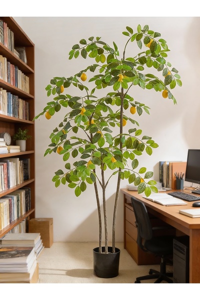 SCHENKERO 1.6m Artificial Lemon Tree Potted Ornament for Entryway Hallway Liv...