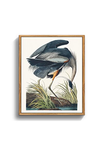 MHARTK66 Vintage Painting 30x40 cm, Wooden Frame, Blue Heron Illustration, El...