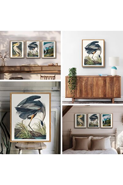 MHARTK66 Tablou Vintage 30x40 cm, Ramă Lemn, Ilustrație Stârc Albastru, Decor Elegant Living și Hol