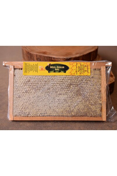 oğul özkan Petekli Çiçek Balı 1200 gr