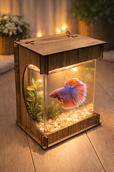 EMSE Beta Mini Ledli ışıklı Akvaryum Ahşap Tasarım Hediyelik Kişiye özel Üretim