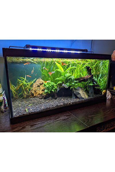 çiçek rengi dekor Dere Taşı İnce Çakıl Akvaryum, Saksı, Dekoratif Çakıl 1kg