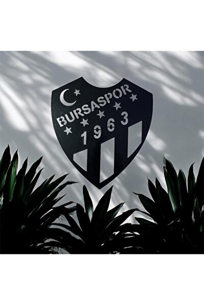 Elz Lazer Bursaspor taraftar tablo