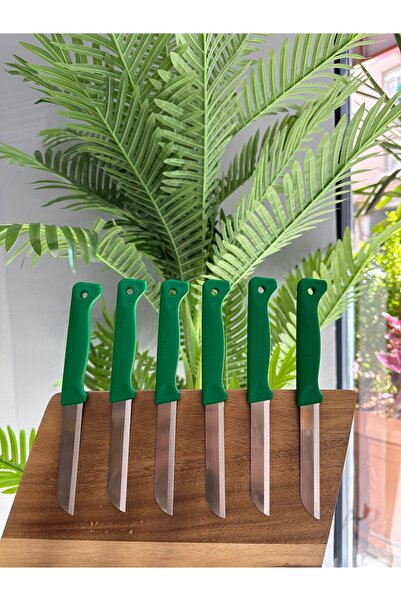 Solingen 6’lı Mat Delikli Meyve Bıçağı Seti(YEŞİL)