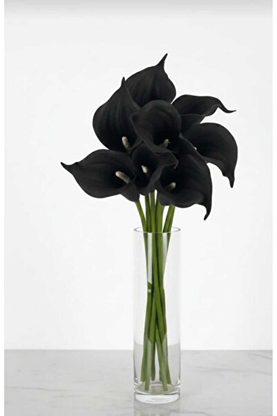 ENRUFLORA 8 قطع من زهور الغالا السوداء الاصطناعية ذات الملمس الرطب لتزيين غرف...