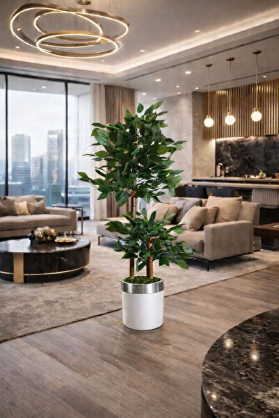 Altun Çiçekcilik Benjamin Ağacı 150 Cm 2 Gövdeli Lüx Metal Saksı Dahil