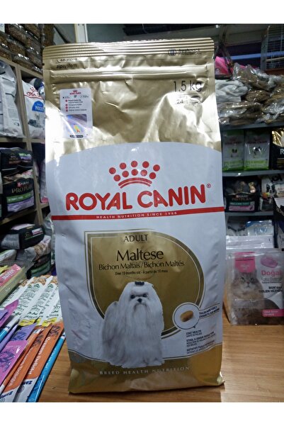 Royal Canin Maltese Adult Yetişkin Köpek Kuru Mama 1.5 KG+1 adet molly dana e...