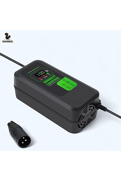 Squirrel Electric bicycle charger. Digital. Lithium battery. 72V 5A