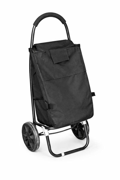 WDA Foldable 2 Wheel Shopping Trolley Cart with Durable Fabric Bag – Lightwei...
