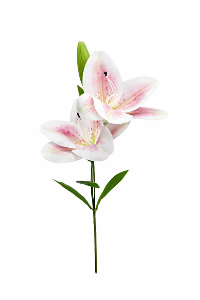 OEM Crin artificial alb cu accente roz pal, 2 flori și detalii decorative, tu...