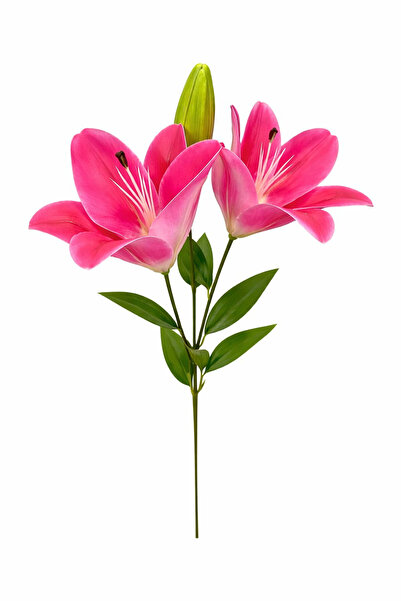OEM Elegant deep pink artificial lily with 2 flowers and decorative accent, 6...