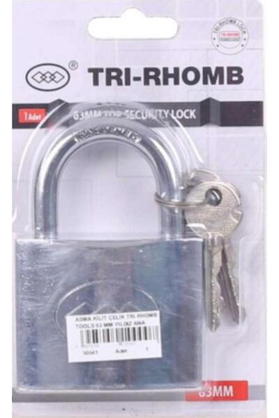trı Stainless Steel 50 mm Hanging Lock