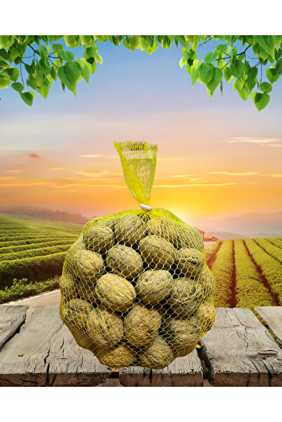 OF AYKURT ÇAY İnce Kabuklu Yerli Ceviz Yeni Mahsul Doğal Taze 1 kg