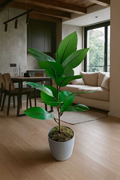 MAKİ DEKOR YAPAY KAUÇUK AĞACI 65 CM BOYUNDA 15 YAPRAKLI DEKORATİF SALON BİTKİSİ